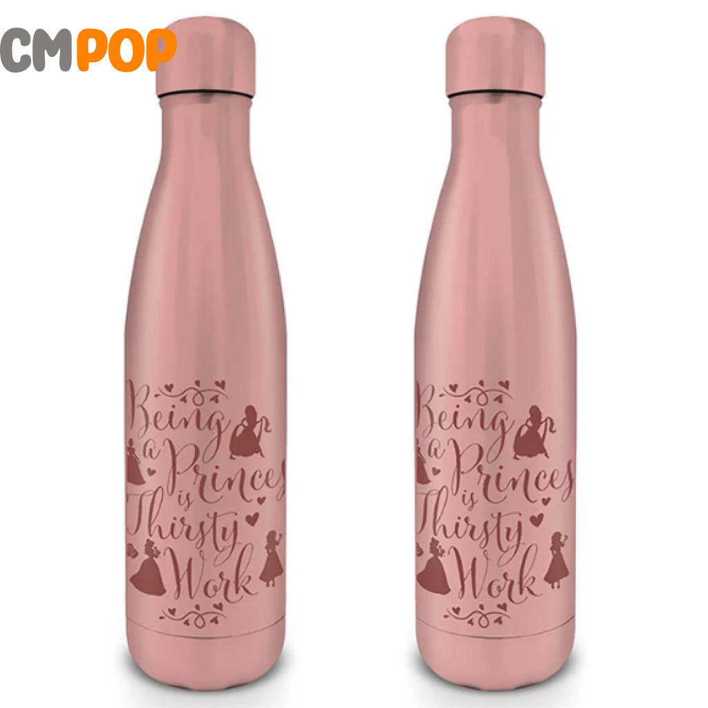 Disney Princess (Thirsty Work) 19Oz/540Ml Double Walled Metal Drinks Bottle Funko Misc