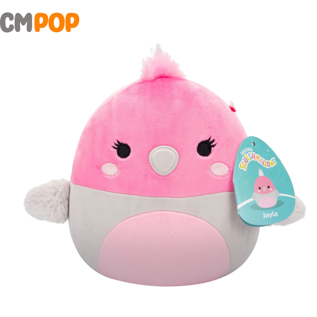 Squishmallows - 7.5 Inch Jayla the Galah Bird Squishmallows
