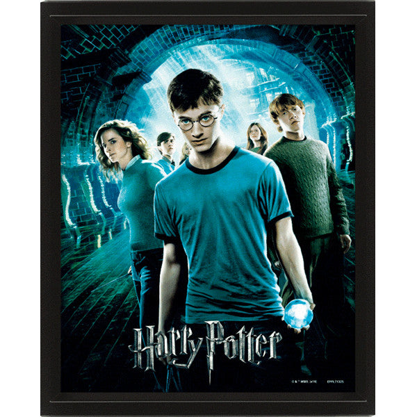 Pyramid Harry Potter Order Of The Phoenix Poster